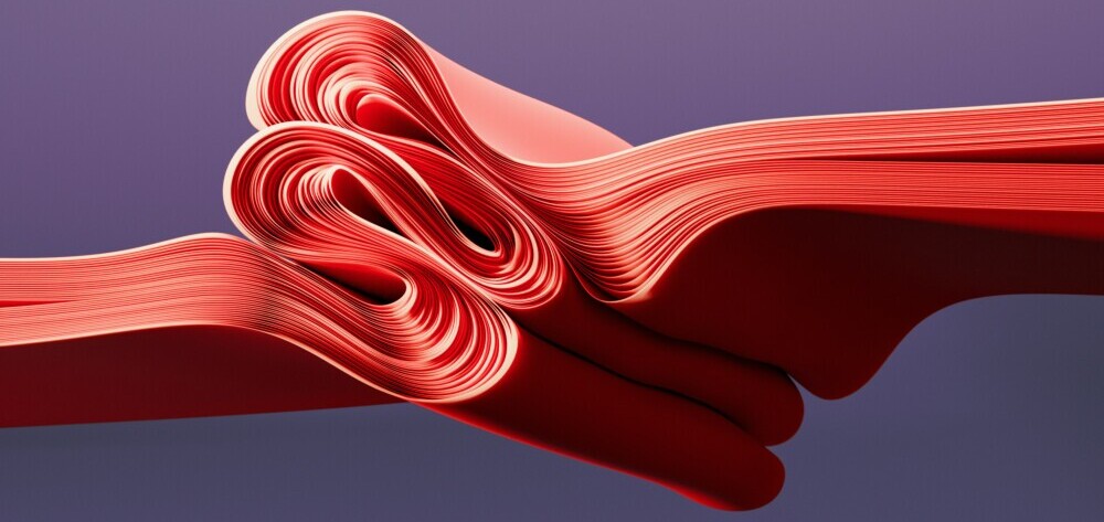 Heart and Motion Powerhouse